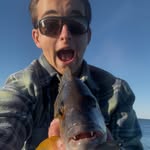 Jack Kimberley - @jackkimberley6 - Instagram