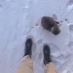 Jack Kimberly - @jackkimberly_9.7 - Instagram