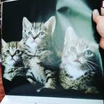 Jack Kimmons - @jackkimmons - Instagram