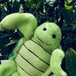 Jack Kimura - @klepto_the_traveling_turtle - Instagram