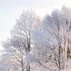 Jacke_Kimura113 - @jacke_kimura113 - TikTok