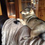 Jack - @jack_kincaid123 - Instagram