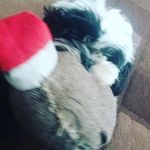Jack kinch - @jackeyboy04 - Instagram