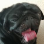 jackkinch - @jackyboy20046 - Instagram