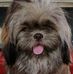 Jack Katindig - Facebook