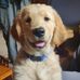 Jack Kinnaman - Facebook