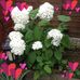 Jackie Kinnersley - Facebook