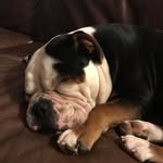 Cameron Jack Kinsler - @cameronkinsler - Instagram