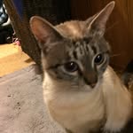 Jack Kirkman - @jackdtm - Instagram