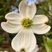 Jackie Kirkman - Facebook