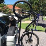 Jack Kirwan - @1jabberjack1 - Instagram