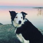 Jack - @jack._.kitson9586 - Instagram