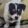 Jack Kitson - @jack.kitson5 - TikTok