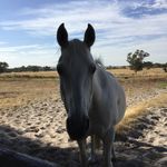 Jack Kitson - @jack_kitty34 - Instagram