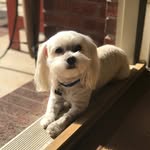 Jack Kittinger - @jackkittinger - Instagram