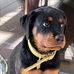 Jacky Kittinger - Facebook