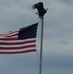 Jack Kitzmiller - Facebook