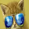 franciscomendiola12 - @jack.knauff5 - TikTok