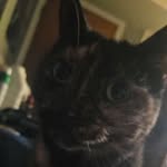 Jack Knipe - @jackiemoto08 - Instagram
