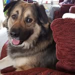 Jackie Knipe - @knipejackie - Instagram