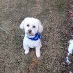 Coby Jack Knopf - @coby_jack - Instagram