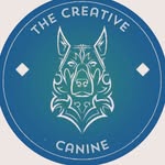Jack Knott - @thecreativecanine_me - Instagram