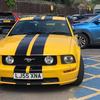 Lamborghini - @jackknowles4331 - TikTok