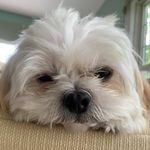 Jack Knutson - @jackknut7 - Instagram