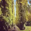 Jack Ko - @jackko09 - TikTok