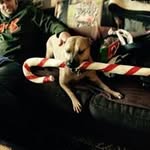Jack Kohler - @jack.kohler.505 - Instagram