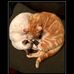 Jack Kohn - Facebook