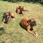 jack and jamie and kolbe - @jack.jamie.kolbe - Instagram