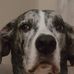Jack Kolbe - Facebook
