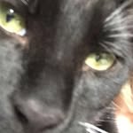 @jack_koller29 - Instagram