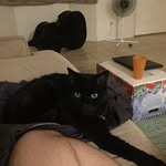 Jack Koon - @koon.jack - Instagram
