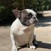 Jack Kopp - Facebook