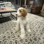 Jack Koppes - @jackson_koppes - Instagram