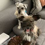Jack 🇨🇦🇲🇽kora - @jack_and_kora - Instagram