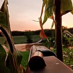 Jack Kovacs - @walmartbag79 - Instagram