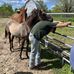 Jack Kovacs - Facebook