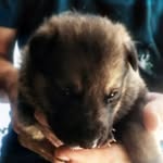 Jack - @jack_kovalskii - Instagram