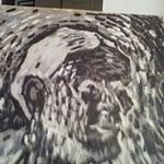 jack kowalski - @kowalski.jack - Instagram