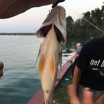 Jack Kraemer - @jackedonjuices - Instagram