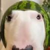 Jack kraus - @jackk8.6 - TikTok