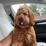Jack Krause - @jackkrause1 - Instagram