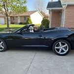John Jack Krebs - @johnjackkrebs - Instagram