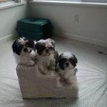 Jackie Kriner - @jackiekriner - Instagram