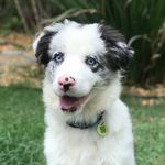 Jack Kuhn - @jack.kuhn_border - Instagram