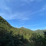Jack Kui - @kui.jack - Instagram