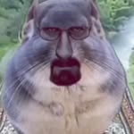 Jack Kunkel - @jackywacky0820 - Instagram